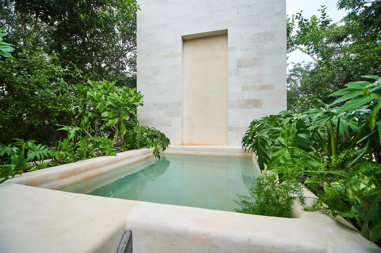 Exclusive & Luxury 2Br Apartment Private Plunge Pool & Balcony Amazing Amenities Lush Gardens Tulum Pueblo