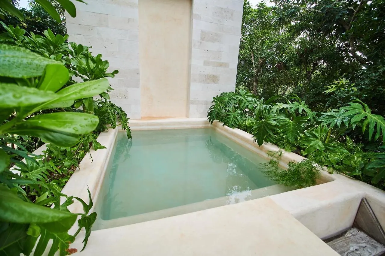 تولوم Exclusive & Luxury 2Br Apartment Private Plunge Pool & Balcony Amazing Amenities Lush Gardens